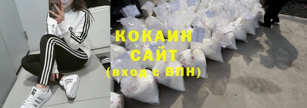 дживик Белокуриха