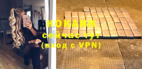 дживик Белокуриха