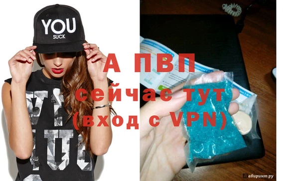 дживик Белокуриха