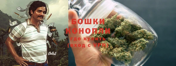дживик Белокуриха
