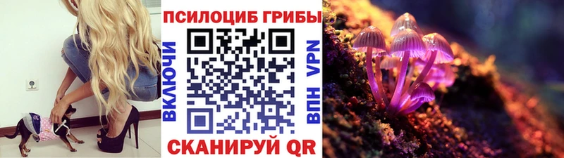 OMG ONION  Яблоновский  Псилоцибиновые грибы Psilocybe 